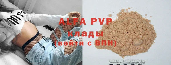 стафф Алексин