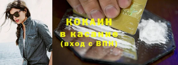 стафф Алексин