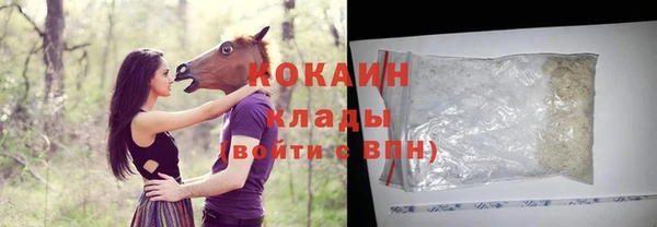 ECSTASY Алзамай