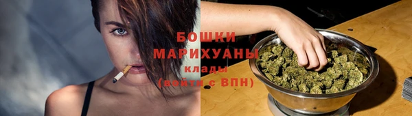 стаф Корсаков
