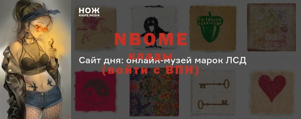 ECSTASY Алзамай