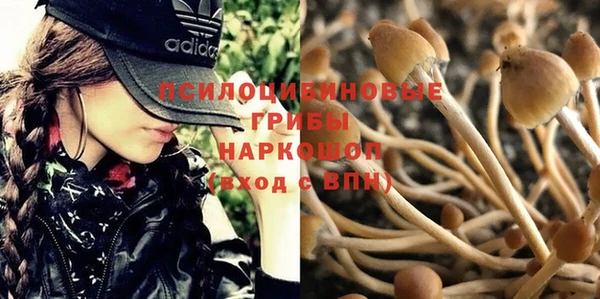 гидропоника Алексеевка