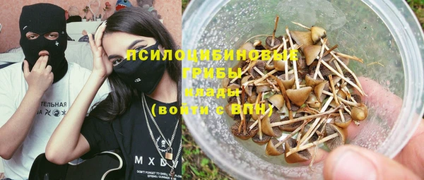 ECSTASY Алзамай