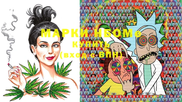 ECSTASY Алзамай