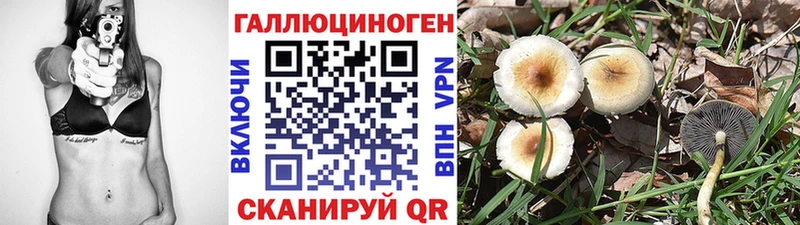 где купить наркоту  Серов  Галлюциногенные грибы Cubensis 
